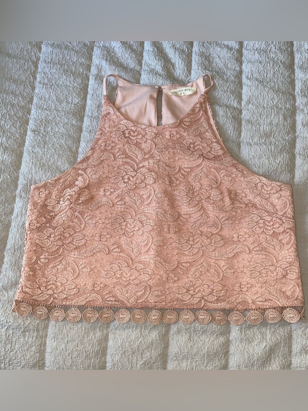 Sophie Rue Floral Lace Halter Crop Top in Blush